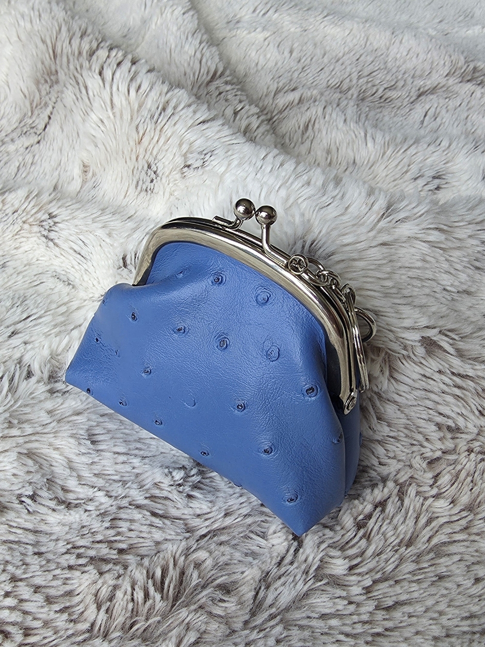 Blue OSTRICH Coin Purse with Keyring - Picture 2 of 7